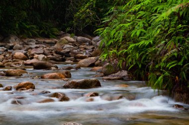 Ormandaki kayalık şelale