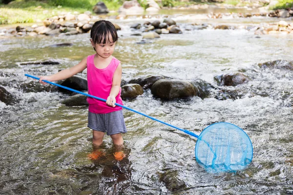 Asiatisch chinesisch klein mädchen fangen fische mit fischnetz — Stockfoto