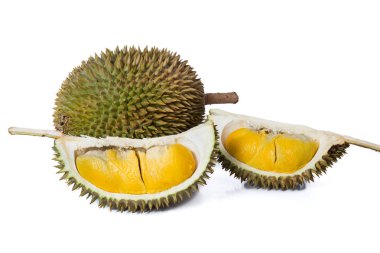 Malezya taze tropikal durian meyve