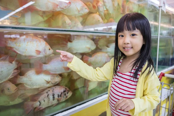 Азиатская маленькая китайская девочка наблюдает за рыбой — стоковое фото