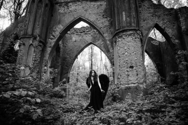 Siyah kanatlı düşmüş melek