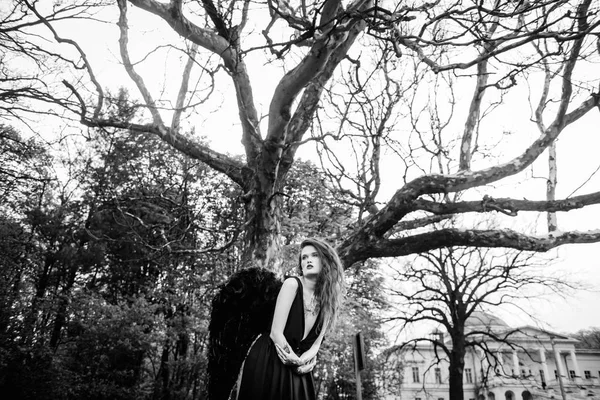 Siyah kanatlı düşmüş melek