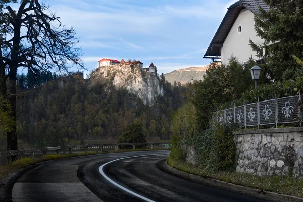 Jezero Bled v alpských horách — Stock fotografie