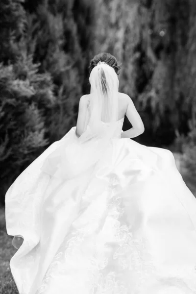 Öltöztesd Fel Menyasszony Egy Esküvői Ruha Fűző Fűző — Stock Fotó