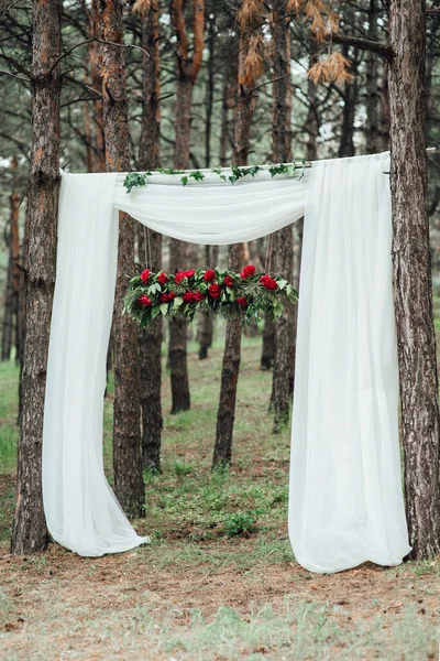 Ceremonia Boda Bosque Entre Los Árboles Pista Verde — Foto de Stock