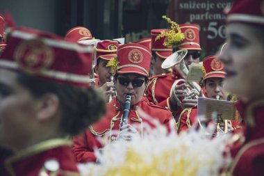 Belgrad, Sırbistan, 22 Şubat 2017: Herceg Novi 'den (Karadağ) çoğunluk ve müzisyenler, Adriyatik kıyısında kış mevsiminin sona ermesini kutlayan mimoza şöleninin onuruna K. Mihailova Caddesi' nde düzenlenen geçide katıldılar.