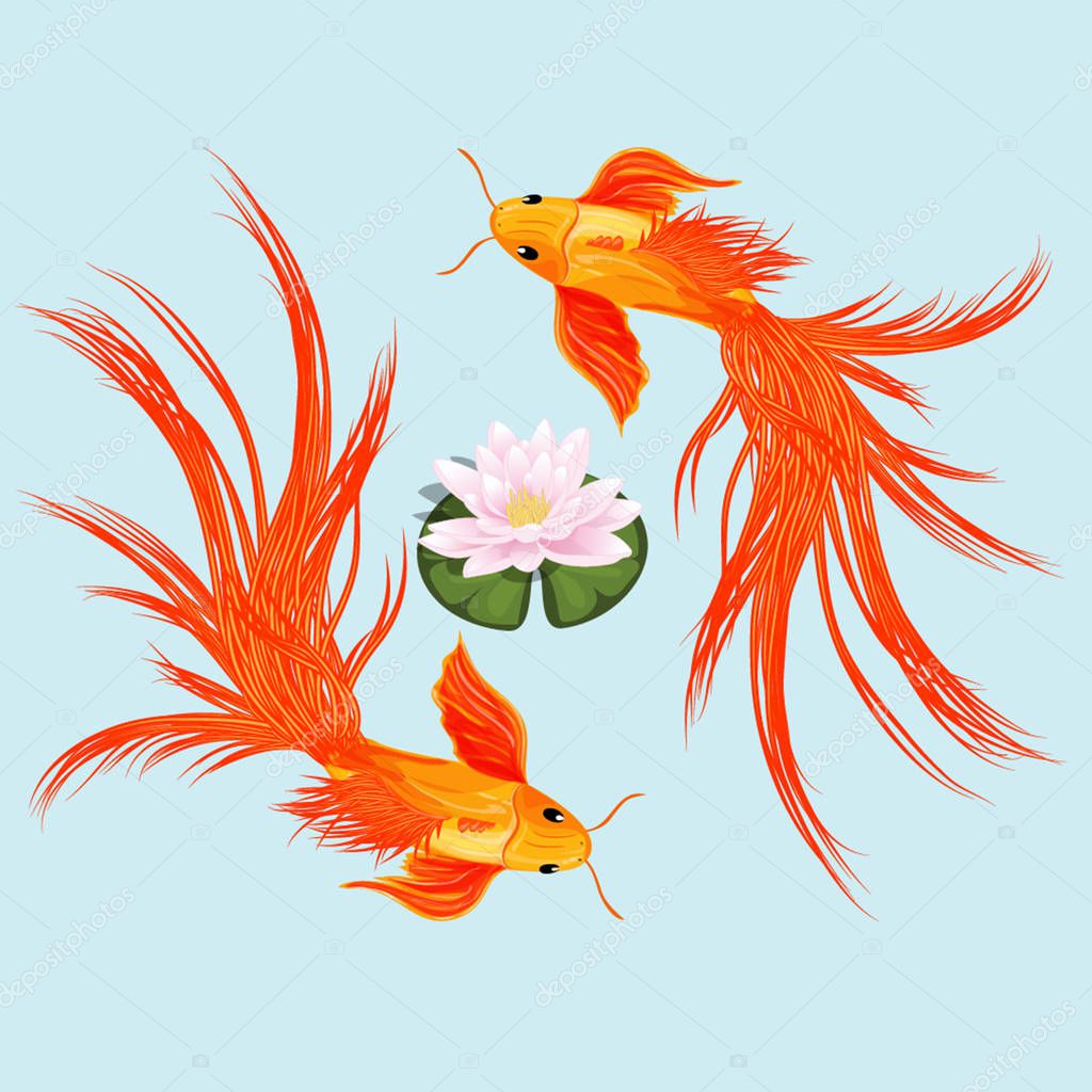 Download Two cute chinese goldfish and lilly — Stock Vector ...