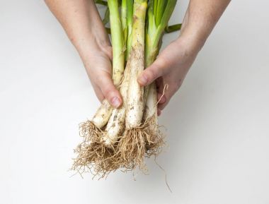 calcots