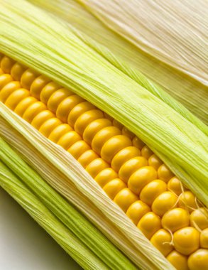 Mısır mısır koçanı yaprakları closeup ile.