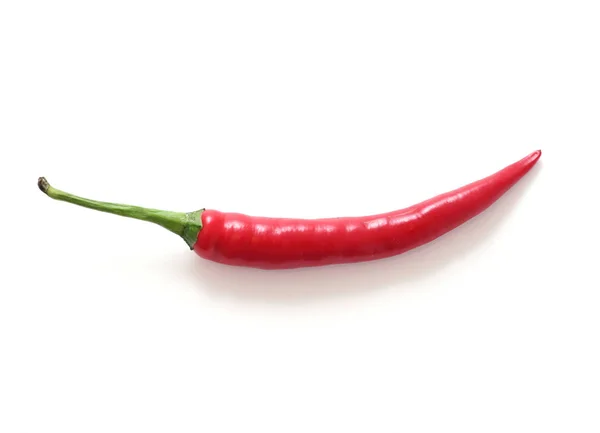 Chili Pepper Isolated White Stock Image