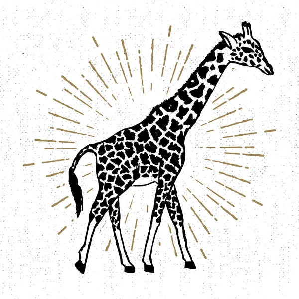 Icône dessinée à la main avec illustration vectorielle de girafe texturée — Image vectorielle