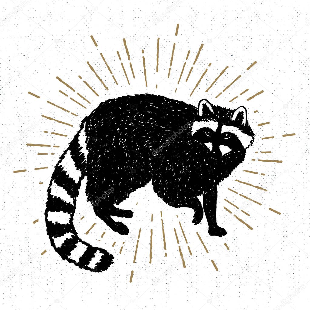 Hand drawn icon with textured raccoon vector illustration.