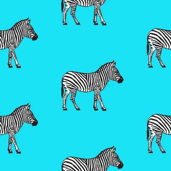 Modello senza cuciture con illustrazione vettoriale zebra disegnata a mano . — Vettoriale Stock