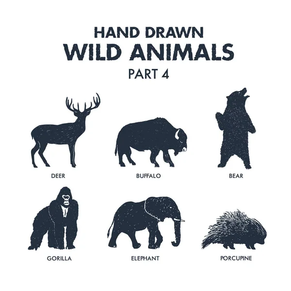 Hand getrokken wilde dieren icons set. — Stockvector