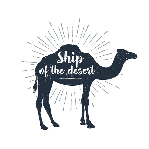 Etichetta disegnata a mano con illustrazione vettoriale cammello testurizzato e lettering . — Vettoriale Stock