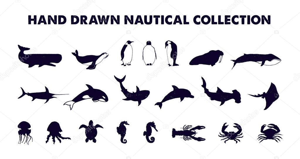 Hand drawn textured nautical fish vector illustrations set.
