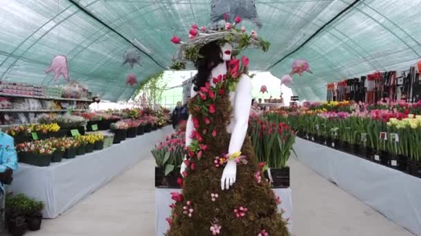 Tulp Bloem Natuur Verse Flora — Stockvideo