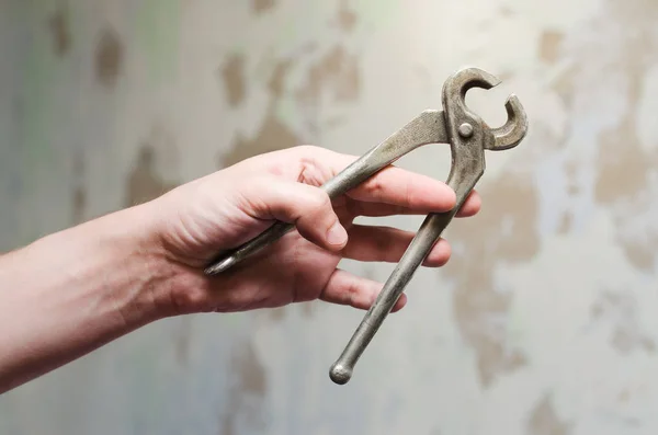 Adamın elinde Kerpeten