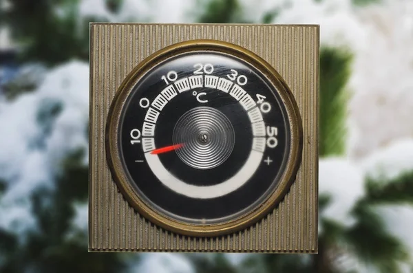 Buz soğuk termometre. sıfırın altında. bir ağaç üzerinde kar