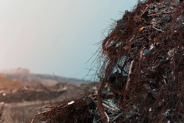 Eski, kirli ve yanmış lastikler. Paslı bir metal çerçeve lastik bir arabanın lastiğinden görülebilir. Eski lastikleri doğaya dök. Yangından sonra yerde lastikler var..