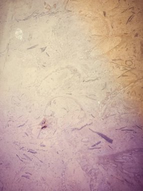 Doğal taş doku arka plan yüzeyi