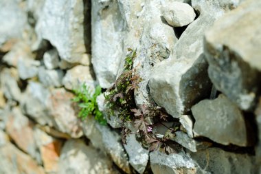 Bulanık soyut grungy doğal taş, dokulu ayrıntılı arka plan görüntüsü