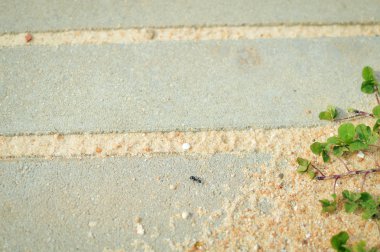 Kumlu beton merdiven kopya alanı açık arka plan üzerinde Kapat