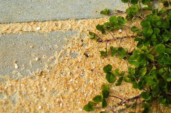 Close up on sandy concrete stairs copy space outdoor background