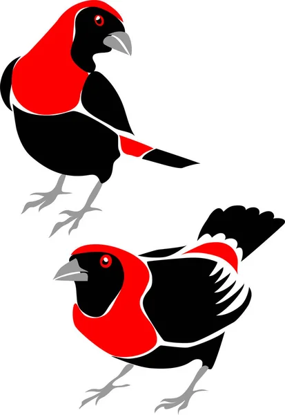 深红色领山雀 — 图库矢量图片