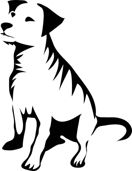 Jack russell terrier de — Archivo Imágenes Vectoriales