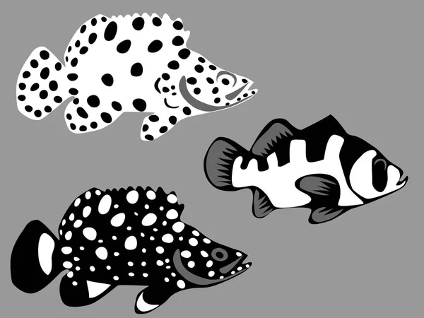 Panther grouper, leaflip grouper — Stockvector