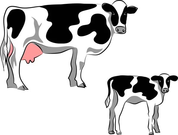 Vaca Hostein con ternera — Vector de stock