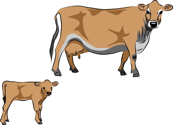 Mucca con vitello — Vettoriale Stock