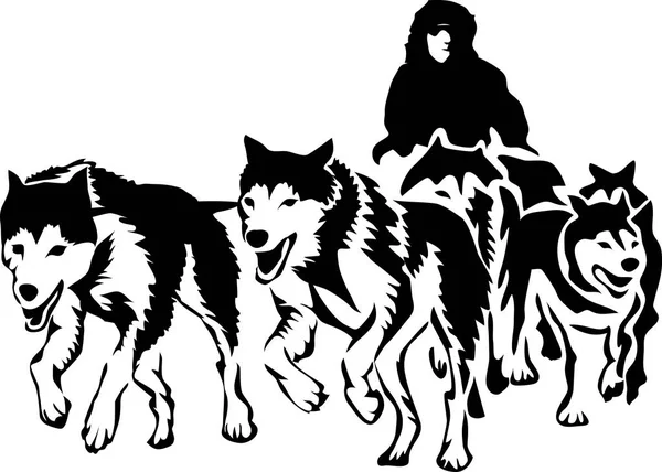 Musher et chiens de traîneau — Image vectorielle