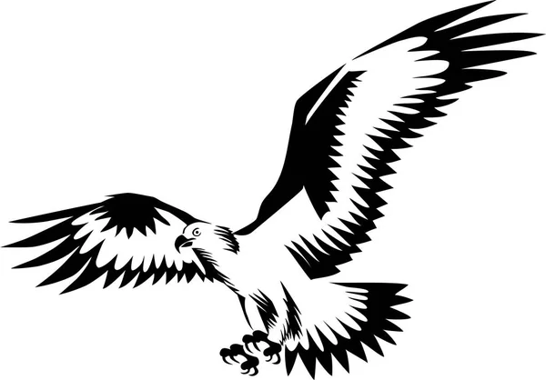 イーグル飛行 黒と白のベクトル図の様式 — ストックベクタ