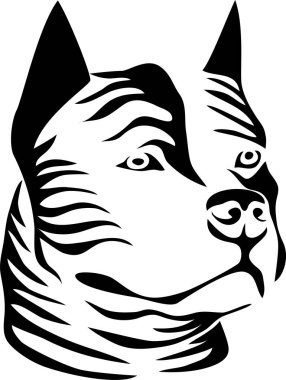 Staffordshire bullterrier portre - stilize vektör çizim