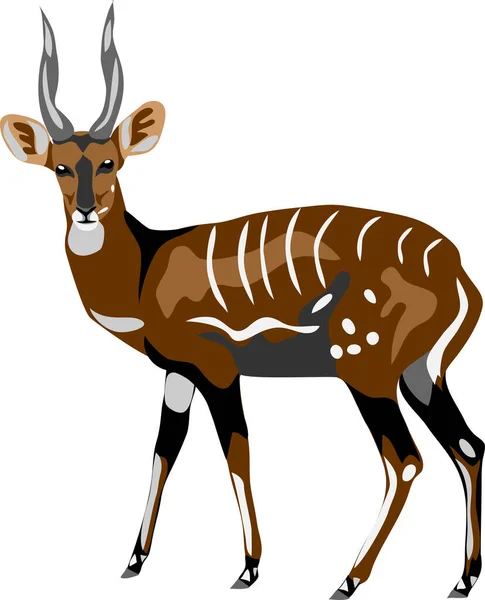 Bushbuck Farbvektorillustration — Stockvektor