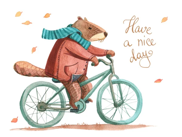 水彩海狸在外套和围巾骑一辆自行车 — 图库照片