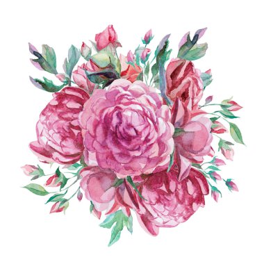 farklı suluboya gül romantik grubu