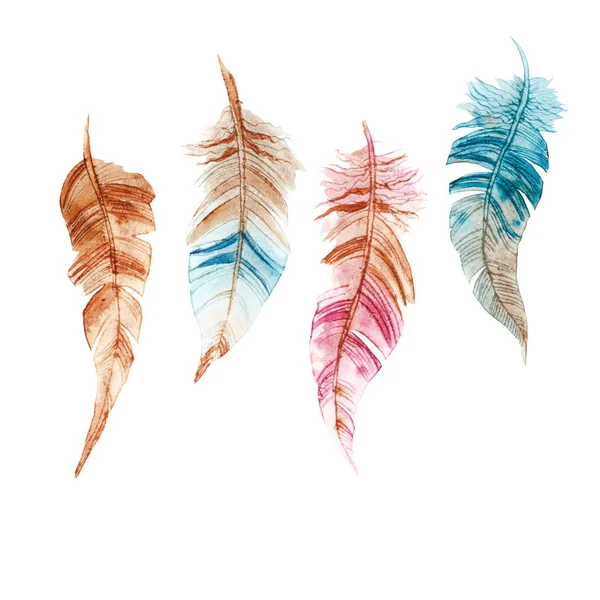 Set of hand drawn watercolor feather