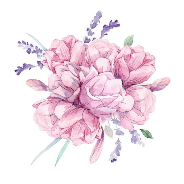 Different watercolor roses romantic collection — Stock Photo, Image