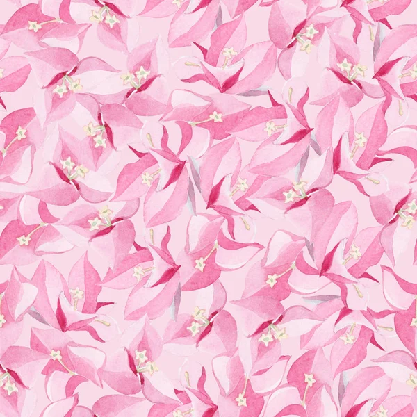 Acuarela flor magenta patrón sin costuras en un respaldo rosa claro —  Fotos de Stock