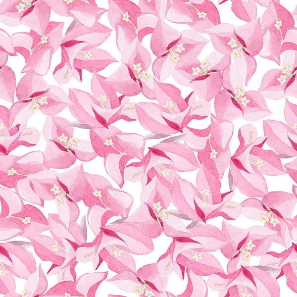 Aquarell rosa und rosa Blütenmuster auf weißem Rücken — Stockfoto