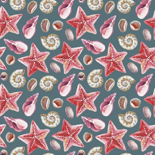 Watercolor seamless pattern of topical shell, starfish and pebble — Stock Photo, Image