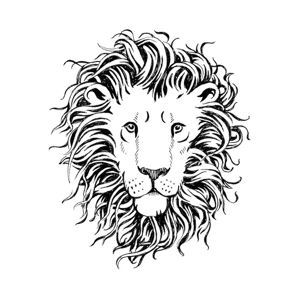 hand drawn lions head isolated on white background