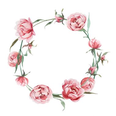 whit üzerinde izole gül Şakayık çiçeği suluboya romantik çelenk