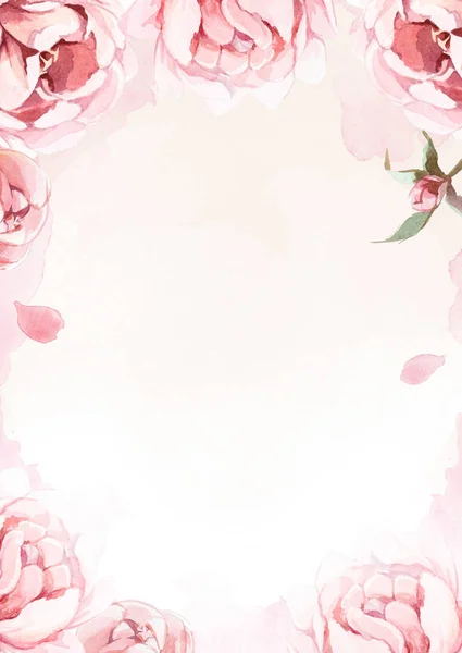 Aquarela rosa, rosa e peônias vermelhas no fundo rosa para gr — Fotografia de Stock