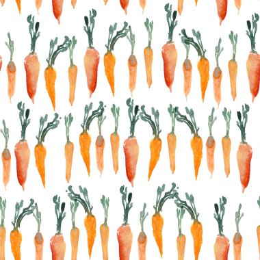 Sulu boya resim. Beyaz bacgkound izole havuç. Beni?