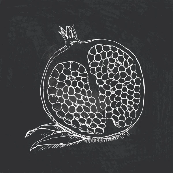 Векторная иллюстрация фруктов, написанных в стиле гравировки. The sli — стоковый вектор
