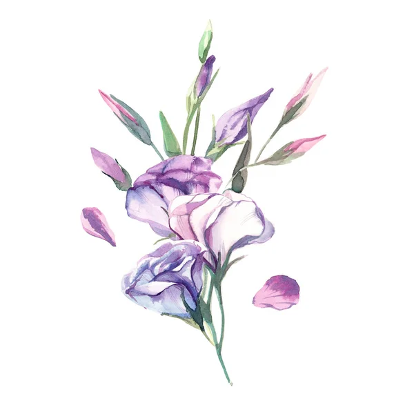 Bukiet akwarela eustoma kwiat izolować na biały backgrou — Zdjęcie stockowe